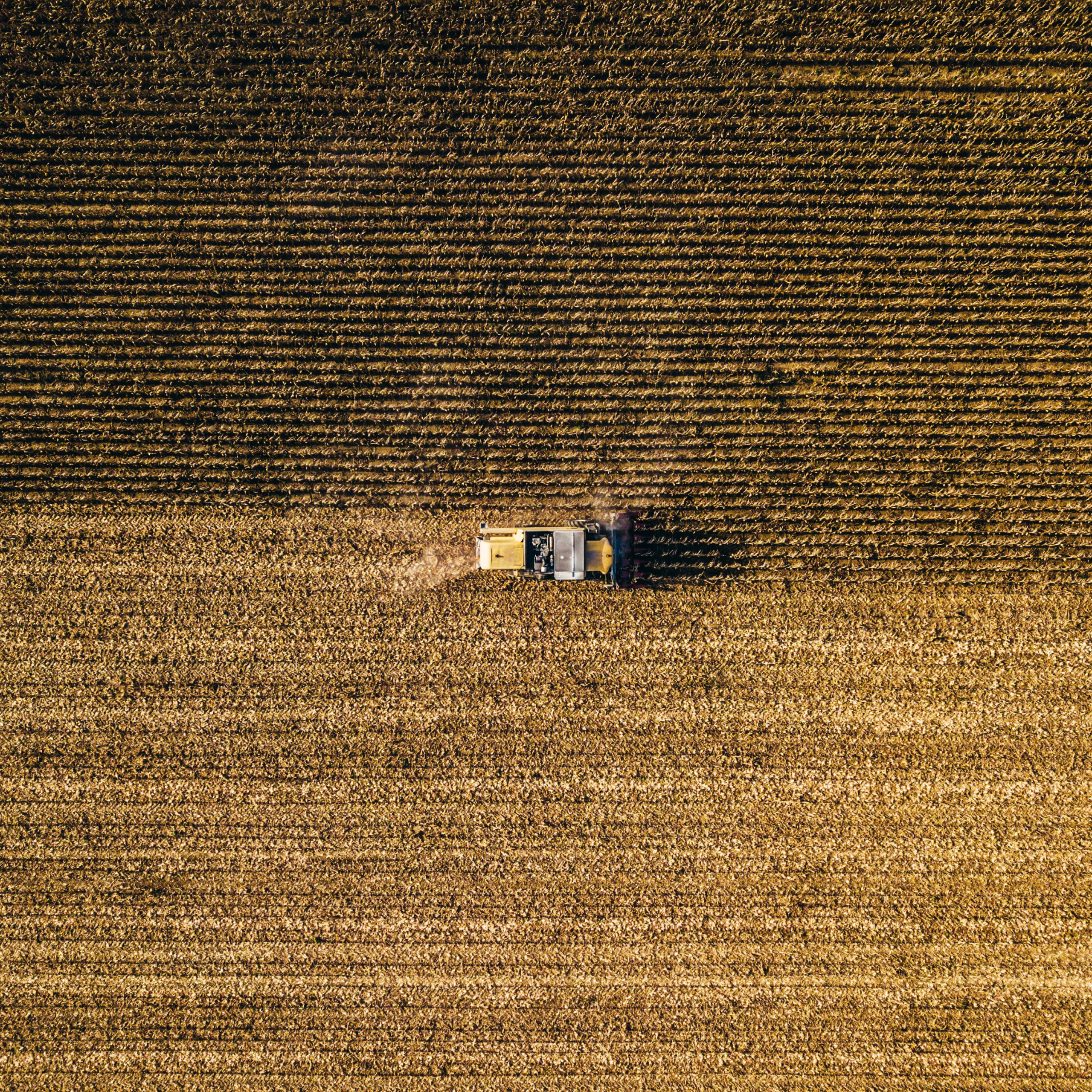 bence-balla-schottner-b1FS5jQrsLo-unsplash