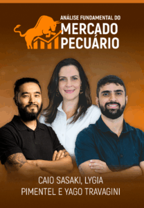 Análise MP